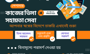 ভিসা প্রসেসিং